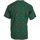 Textil Homem T-Shirt mangas curtas Ellesse Sanya Tee Verde