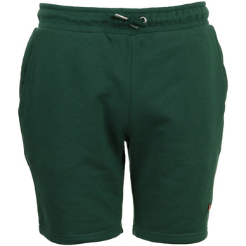Textil Homem Shorts / Bermudas Ellesse Pedone short Verde