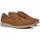 Sapatos Homem Sapatos & Richelieu Fluchos F1459 Castanho