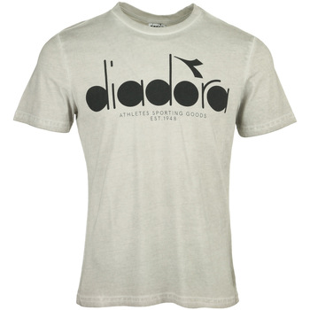 Textil Homem T-Shirt mangas curtas Diadora T-shirt 5Palle Used Cinza