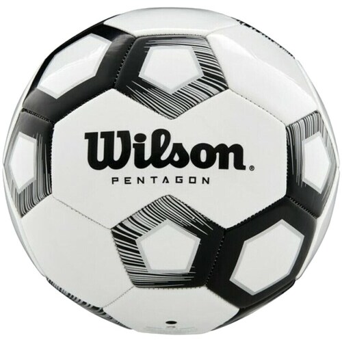 Acessórios Acessórios para calçado Wilson Pentagon Branco