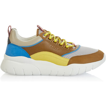 Sapatos Homem Sapatilhas Bally  Castanho