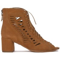 Sapatos Mulher Botins Maciejka 0404029005 Castanho