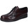 Sapatos Homem Sapatos & Richelieu Bruno Verri BC301 506 Bordô