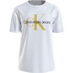 TeCurve Homem T-Shirt mangas curtas Ck Jeans  Multicolor