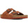 Sapatos Homem Sandálias Birkenstock Arizona Bs Castanho