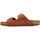 Sapatos Homem Sandálias Birkenstock Arizona Bs Castanho