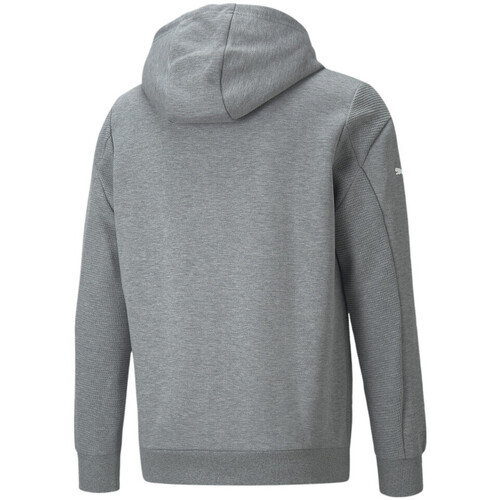Puma  Cinza
