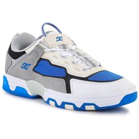 Sapatos Homem Sapatos estilo skate DC Shoes Shanahan Metric Skate Shoes Branco, Azul, Cinzento