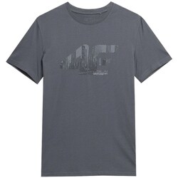 Textil Homem T-Shirt mangas curtas 4F SS23TTSHM309SZARY Grafite