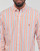 Textil Homem Camisas mangas comprida American Eagle Biała koszulka polo z charakterystycznymi paskami na klatce piersiowej CHEMISE COUPE DROITE EN OXFORD Multicolor