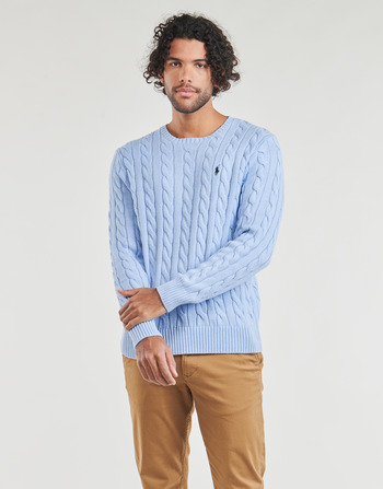 Textil Homem camisolas Polo Ralph Lauren PULL COL ROND MAILLE CABLE Azul / Céu