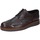 Sapatos Homem Sapatos & Richelieu Bruno Verri BC543 Castanho