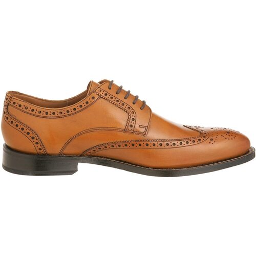 Sapatos Homem Sapatos & Richelieu Clarks Dixon Class Castanho