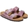 Sapatos Mulher Sandálias Birkenstock Sandálias Arizona 1025490 Lavender Violeta