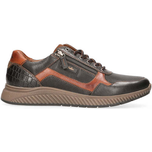 Sapatos Homem Sapatilhas Australian Hatchback Preto