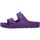 Sapatos Mulher Sandálias Birkenstock 1020635 Violeta