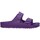 Sapatos Mulher Sandálias Birkenstock 1020635 Violeta