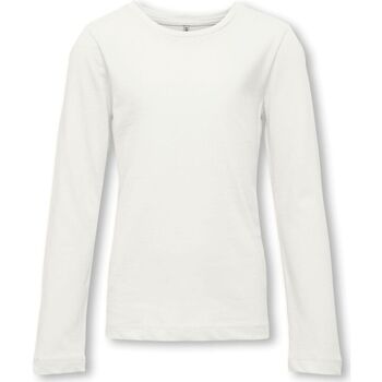 Textil Rapariga T-shirts med e Pólos Only 15299770 NEW LS-CLOUD DANCER Bege