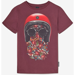 Textil Rapaz T-shirts e Pólos Le Temps des Cerises T-shirt GREGORBO Vermelho