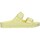 Sapatos Mulher Sandálias Birkenstock 1022466 Amarelo