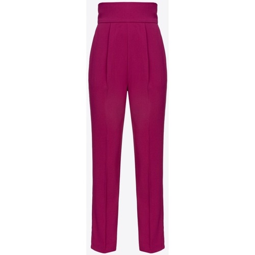 Textil Mulher Calças Pinko 1000527624 Violeta