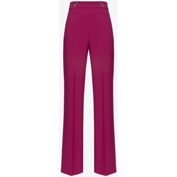 Textil Mulher Calças Pinko 100055A14I Violeta