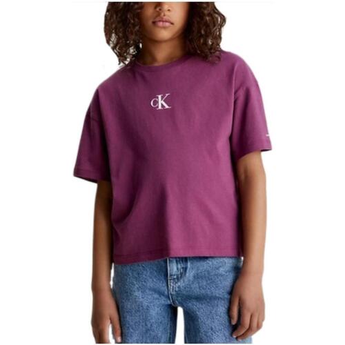 Textil Rapariga T-Shirt wash curtas Calvin Klein JEANS Nata  Violeta