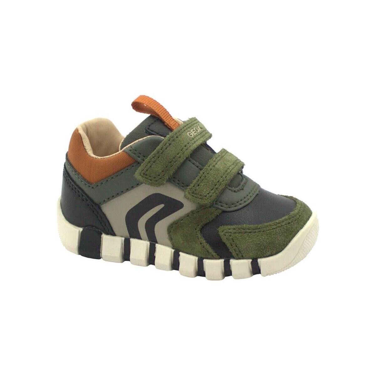 Sapatos Criança Sapatilhas Geox GEO-I23-B3555D-GB Verde