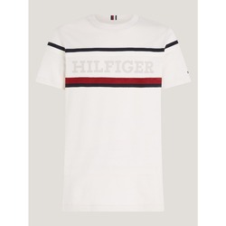 Textil Homem T-shirts e Pólos Tommy Hilfiger MW0MW31541 Branco