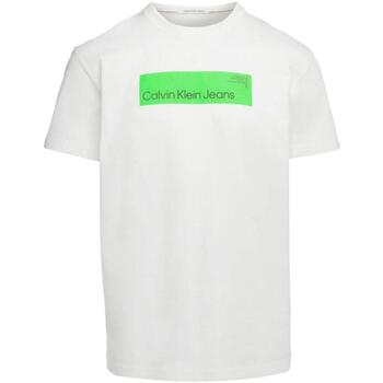 Textil Homem T-Shirt mangas curtas Canterbury T-shirt Gris  Branco