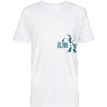 Textil Homem T-Shirt mangas curtas Calvin Klein Jeans  Branco