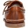Sapatos Homem Sapatilhas Timberland A232XF Castanho