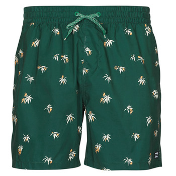 Textil Homem Fatos e shorts Owned de banho Billabong VACAY LB Verde