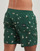 Textil Homem Fatos e shorts de banho Billabong VACAY LB Verde