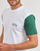 Textil Homem T-Shirt mangas curtas Vans brand COLORBLOCK VARSITY SS TEE Branco