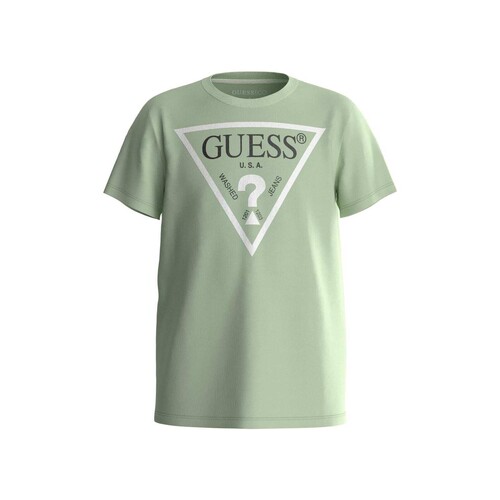 Textil Rapaz T-Shirt mangas curtas rba Guess SHIRT CORE Verde