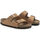 Sapatos Homem Chinelos Birkenstock arizona 1025006 pecan Castanho