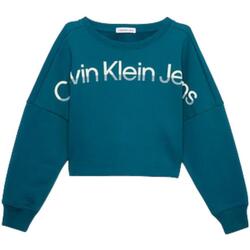 Textil Rapariga Sweats Calvin k50k505660 Klein Jeans  Verde