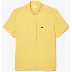 Textil cotesm Camisas mangas curtas Lacoste CH4991 Amarelo