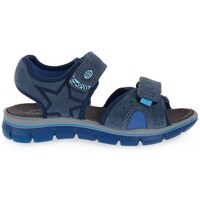 Sapatos Criança Sandálias Primigi Tevez Marinho