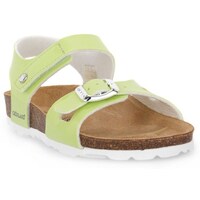 Sapatos Criança Sandálias Grunland Mela 40LUCE Verde