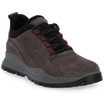 Sapatos Homem Botas baixas IgI&CO Gum Grigio Castanho