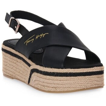 Sapatos Mulher Sandálias Tommy Hilfiger Bds Elevated Preto