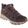 Sapatos Mulher Sapatos de caminhada Columbia Peakfreak Ii Mid Outdry Bordô