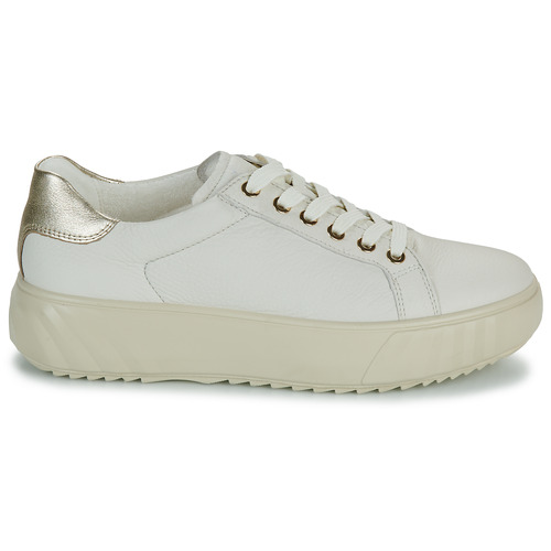 Ara MONACO Branco / Ouro