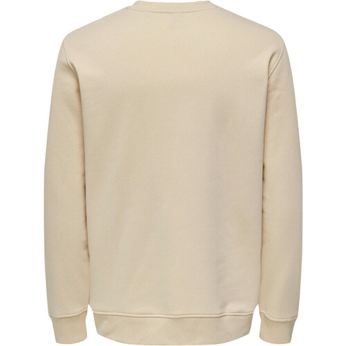 Only&sons ONSTODD REG PHOTOPRINT CREW NECK Cinza