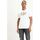 Textil Homem T-shirts e Pólos Levi's 22489 0277 HOUSEMARK-WHITE Branco