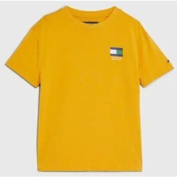 Textil Rapaz T-shirts e Pólos Tommy Hilfiger KB0KB08328 FLAG TEE-KEM COLLEGE GOLD Amarelo
