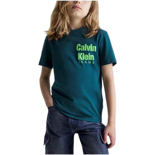 Textil Rapaz T-Shirt mangas curtas Calvin Klein JEANS GRIGIO  Verde